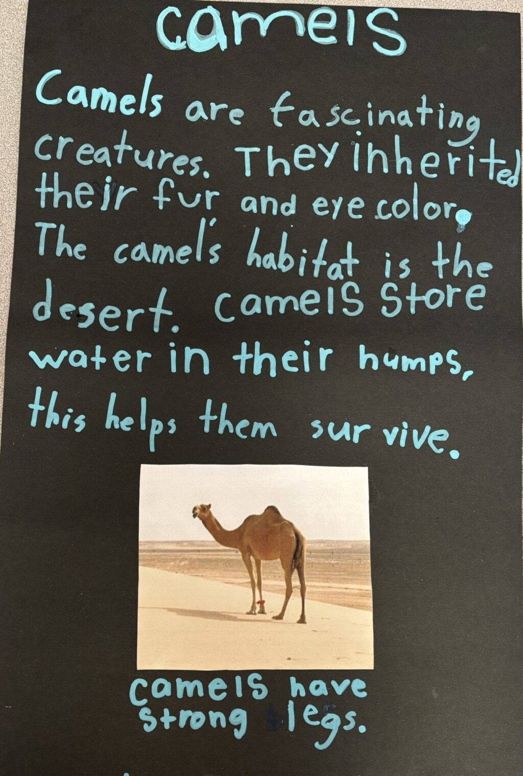 Third grade students animal poster presentations in the librar