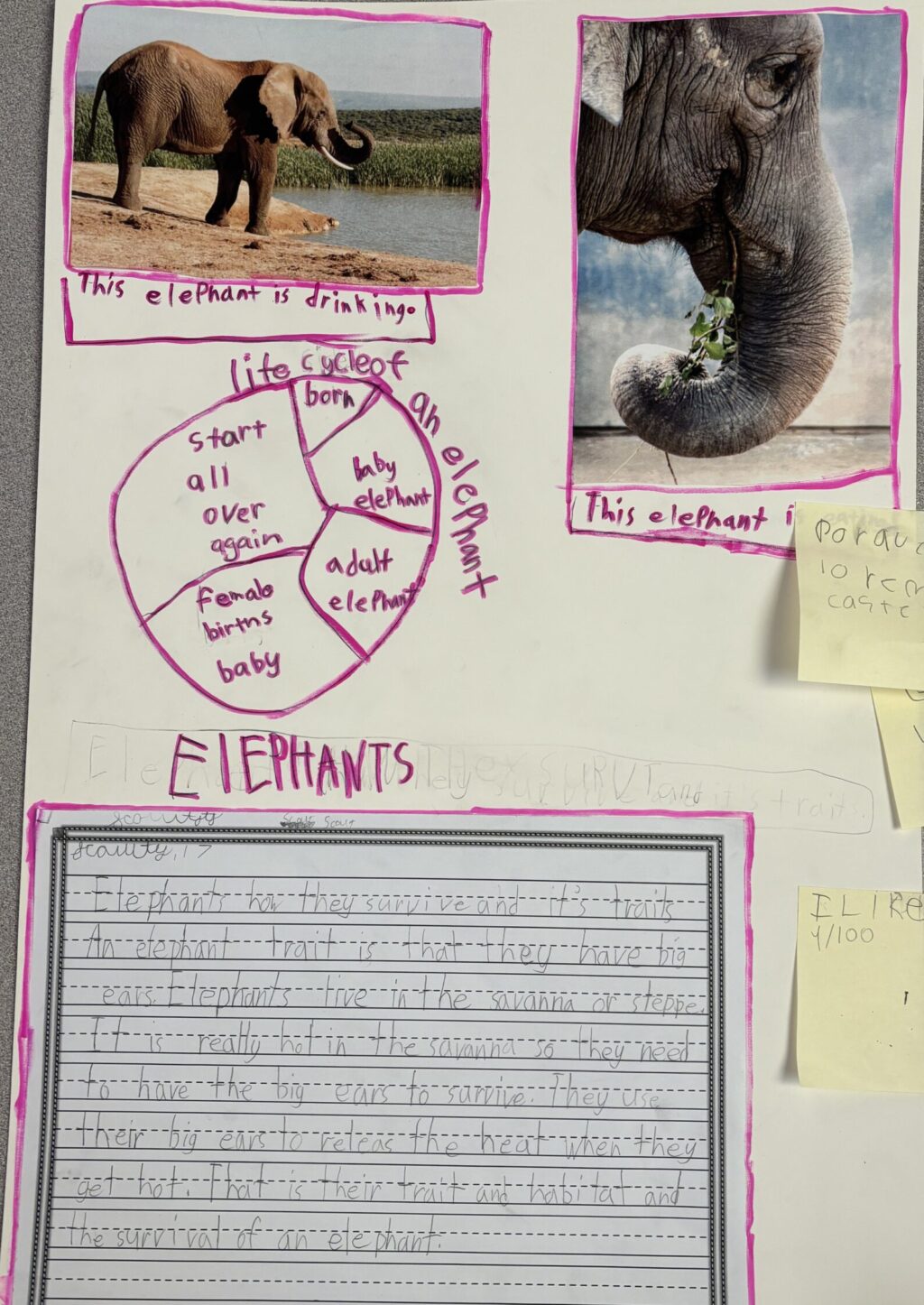 Third grade students animal poster presentations in the librar